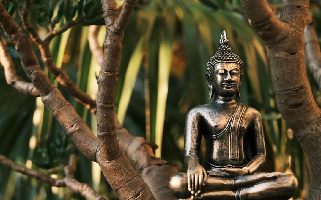 How to Attract What You Want Through Holistic Meditation